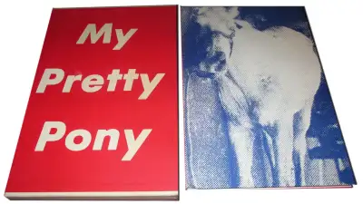 My Pretty Pony - Gift edition — Stephen King