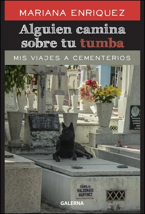 Mariana Enriquez - Alguien camina sobre tu tumba — Stephen King - 1