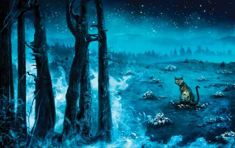 Pet Sematary - Edición limitada gift — Stephen King - 1