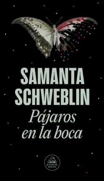 Samanta Schweblin - Pájaros en la boca — Stephen King - 1